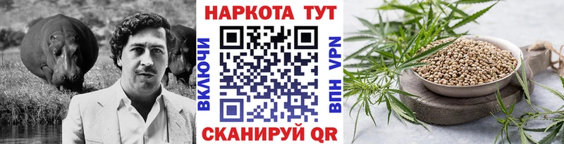 Виды наркотиков купить Грязи Галлюциногенные грибы  Меф  ГАШ  Канабис  A-PVP 