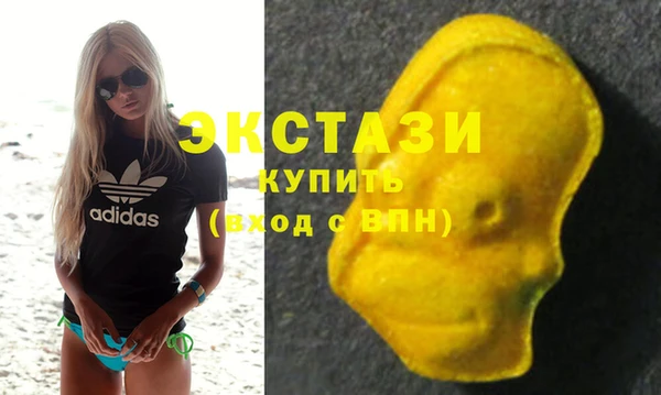 СК Алексин
