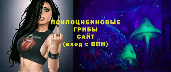 СК Алексин