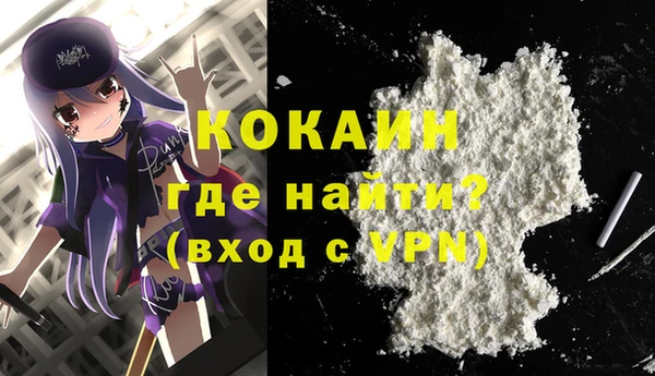 индика Абинск