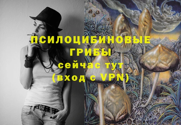 СК Алексин