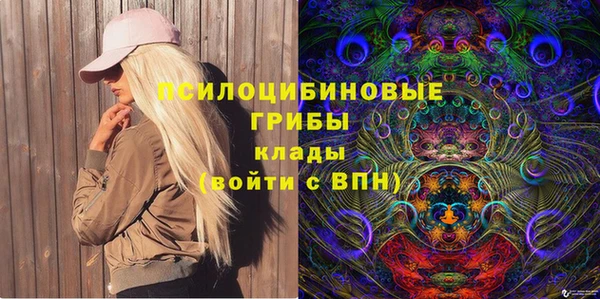 винт Алексеевка