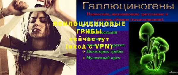 соль ск Алзамай