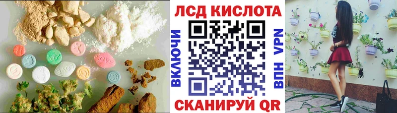 магазин продажи   Грязи  мега как зайти  ЛСД экстази кислота 