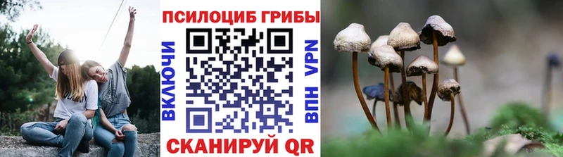 Галлюциногенные грибы мицелий  Грязи 