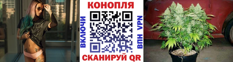 как найти наркотики  Грязи  Канабис семена 